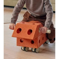 Explorer set Burnt Orange/Dusty Green*MODU New