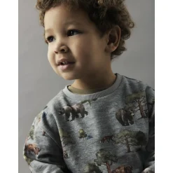 Grey Melange Nmmolin Ls Nreg Sweat Bru Box*Name It Discount