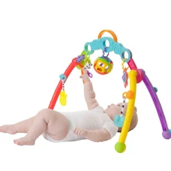 Fold & Go Playgym*PlayGro Sale