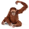 ® Wild Life Orangutang Hun*Schleich Sale