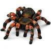 ® Wild Life Tarantula*Schleich Outlet