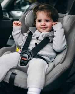 Autostol Elm Light Grey*Thule Discount